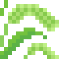 Green Foxtail