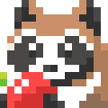 Raccoon