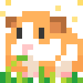 Guinea Pig
