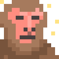 Rhesus Macaque