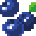 Blueberries