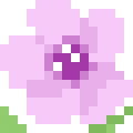 Geranium