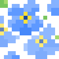 Forget-me-not