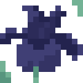 Bearded Iris