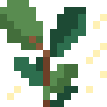 Rubber Tree