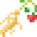 Ginseng