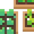 Vegetable Garden