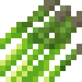 Asparagus
