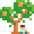 My Sweet Orange Tree