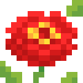 Zinnia