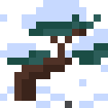Pine