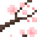Plum Blossom
