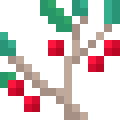 Winterberry