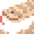 Hognose Snake