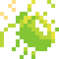 Stink Bug