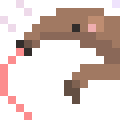 Anteater