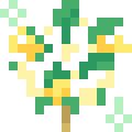 Wreath