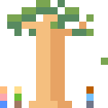 Baobab
