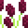 Burnet