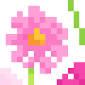 Cosmos