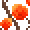 Bladder Cherry