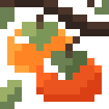 Persimmon