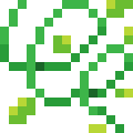 Vine Rope