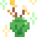 Celadon