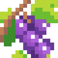 Grapes