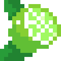 Lime