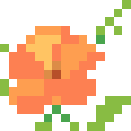 Trumpet Vine