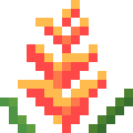 Heliconia