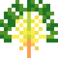 Traveler's Tree