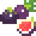 Fig