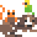 Animal Behaviorist