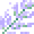 Silver Sage