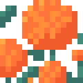 Calendula