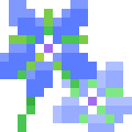 Borage
