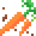 Carrots