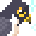 Hawk