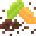 Cacao Nibs