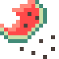 Watermelon Seeds