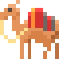 Camel