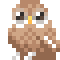 Laughing Owl