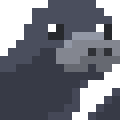 Caribbean Monk Seal
