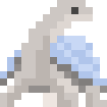 Pinta Island Tortoise