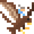 Haast's Eagle