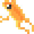 Golden Toad