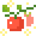 Cherry Tomatoes