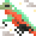 Marine Iguana